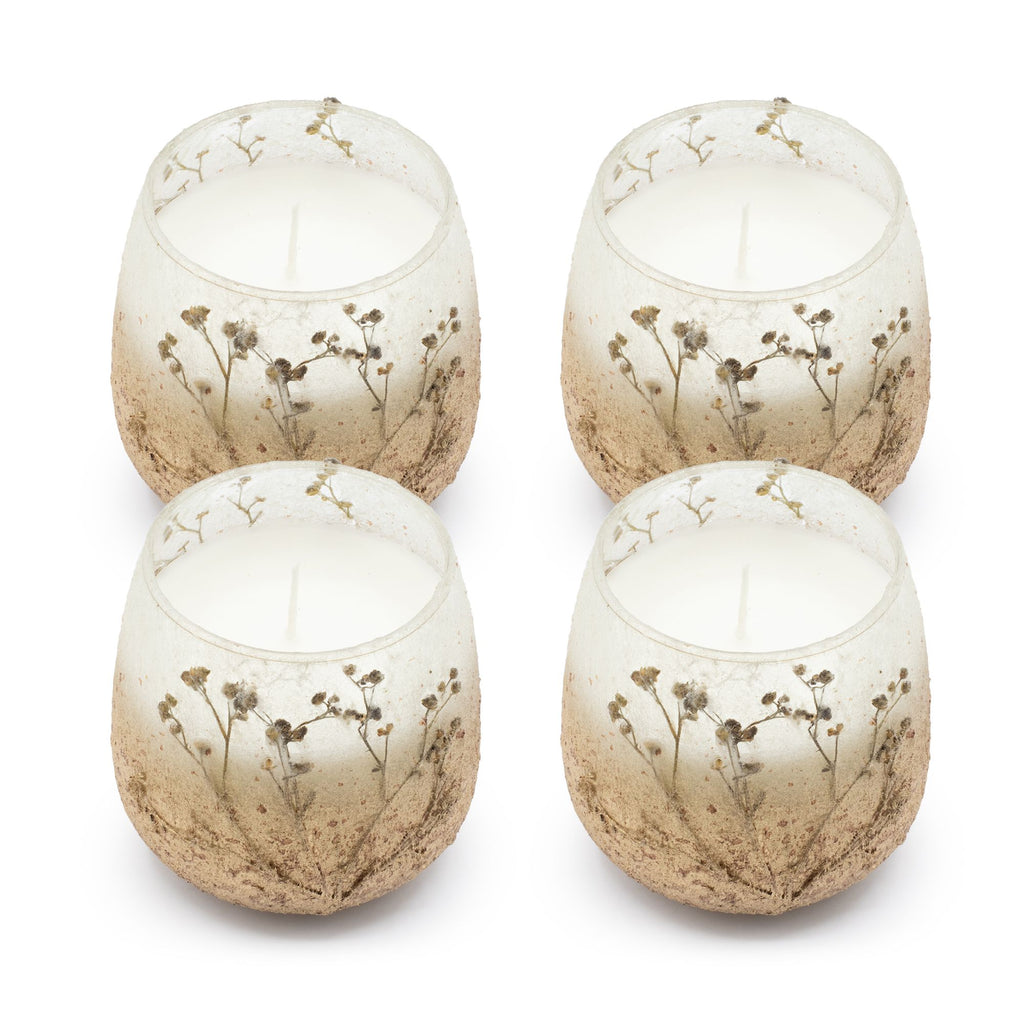 Medium Glass Jar Candles - Wildlight Woods